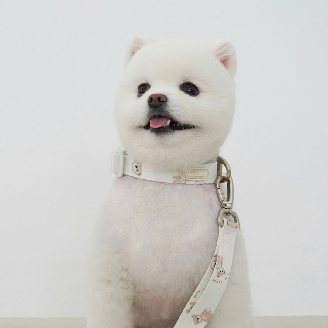 ※予約販売【Bailey】Teddy Walkie Collar（3color）