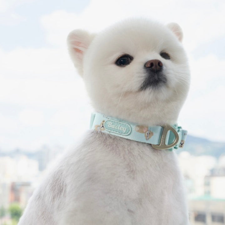 ※予約販売【Bailey】Teddy Walkie Collar（3color）