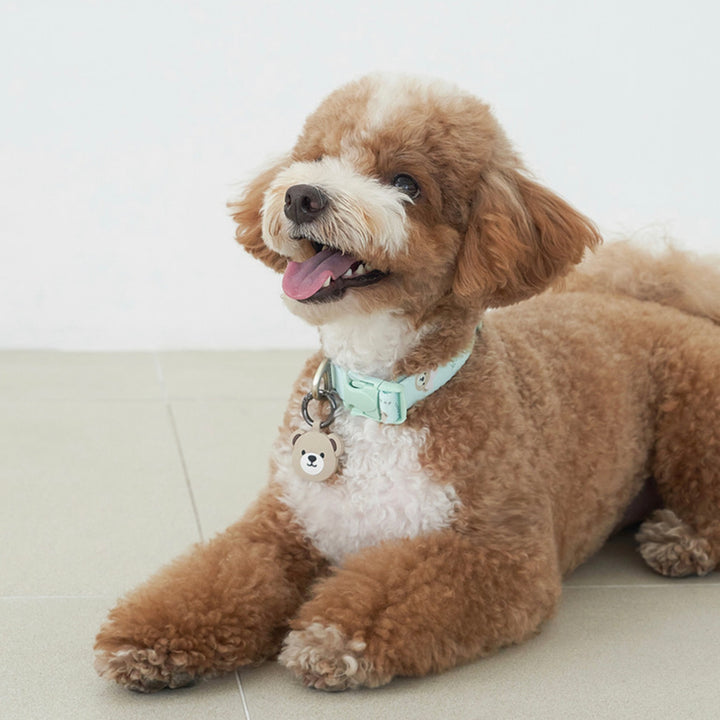 ※予約販売【Bailey】Teddy Walkie Collar（3color）
