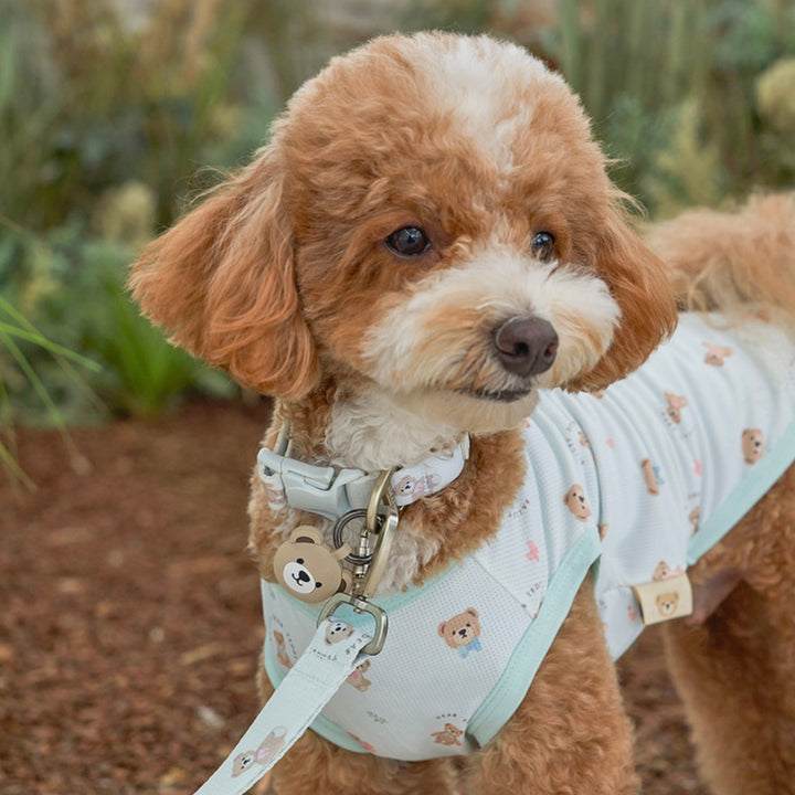 ※予約販売【Bailey】Teddy Walkie Collar（3color）