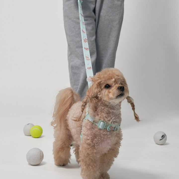 ※予約販売【Bailey】Hands Free Leash（7color）