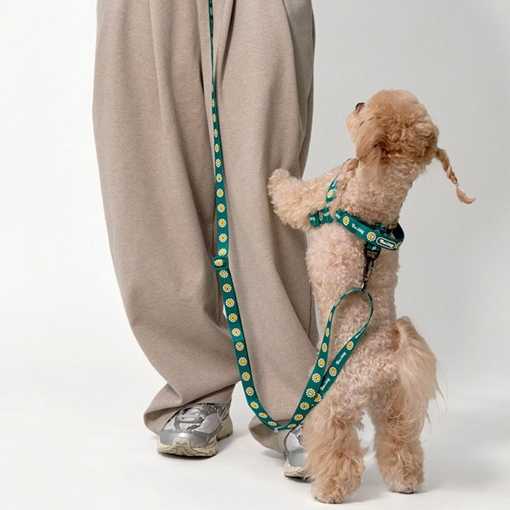 ※予約販売【Bailey】Hands Free Leash（7color）