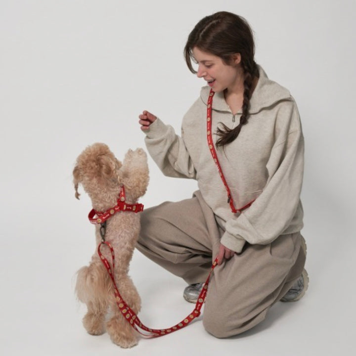 ※予約販売【Bailey】Hands Free Leash（7color）