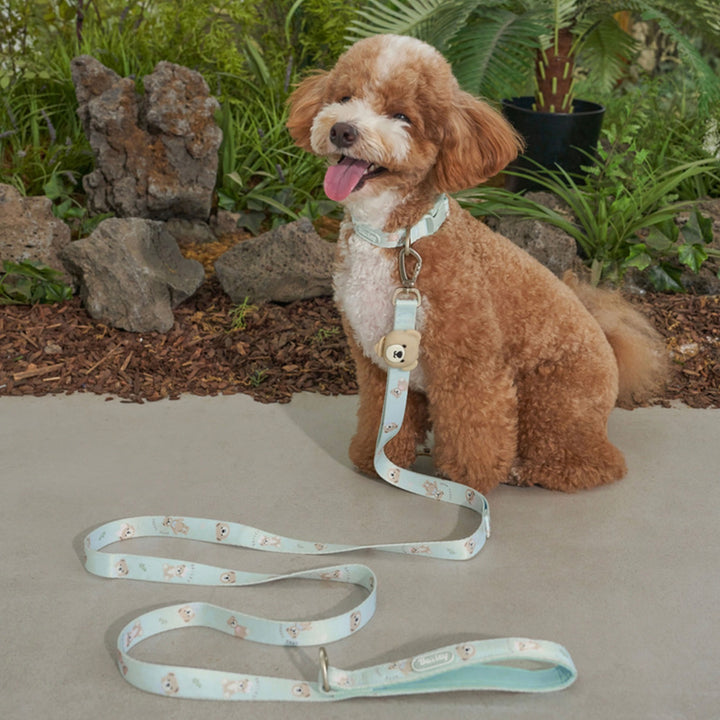 ※予約販売【Bailey】Teddy Walkie Leash（3color）