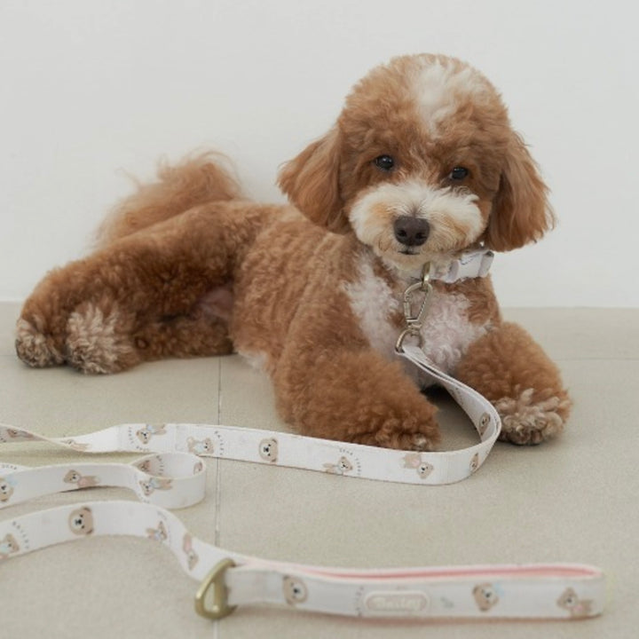 ※予約販売【Bailey】Teddy Walkie Leash（3color）