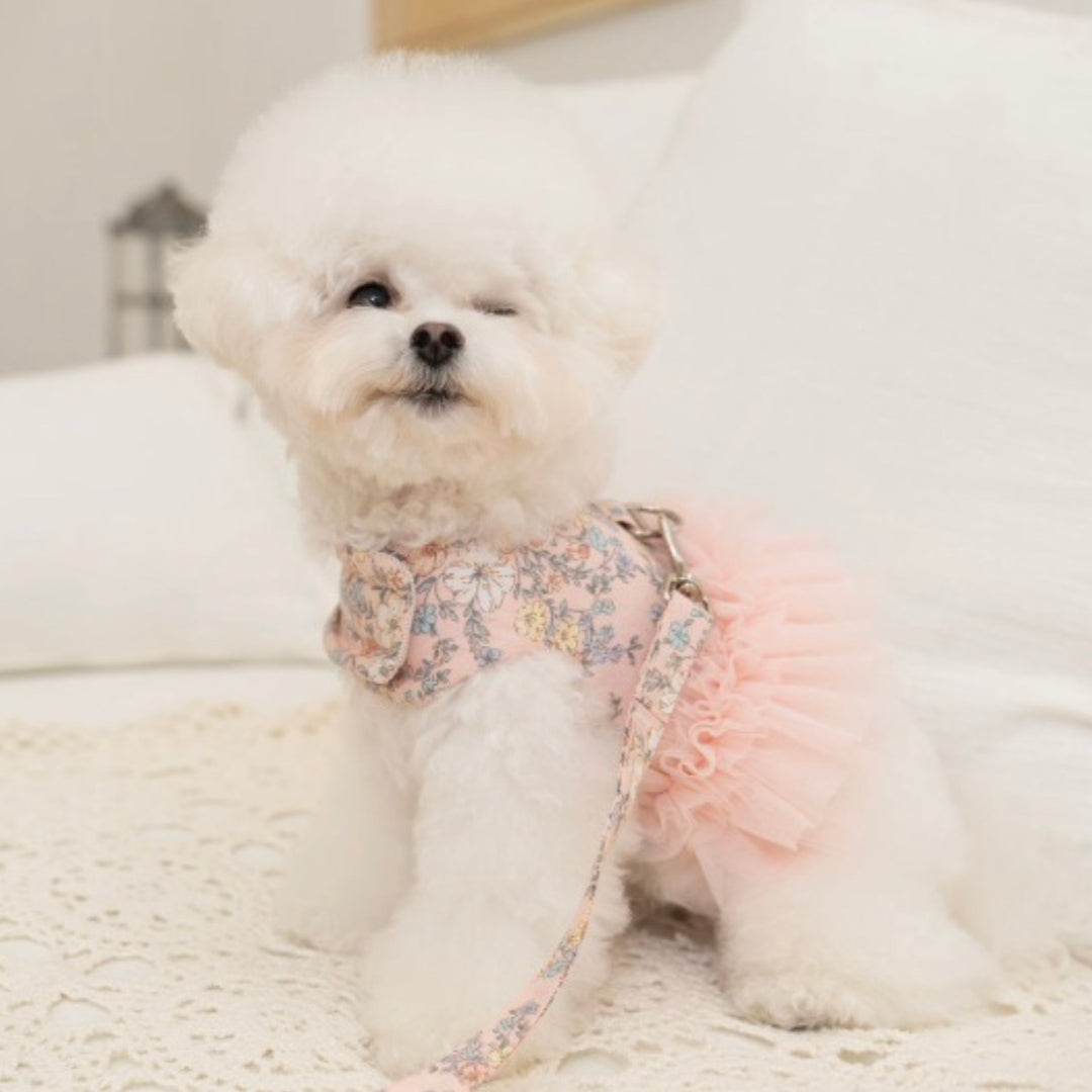 ※予約販売【Bailey】Evelyn Flower Harness - Leash set（Khaki）｜犬用ハーネス