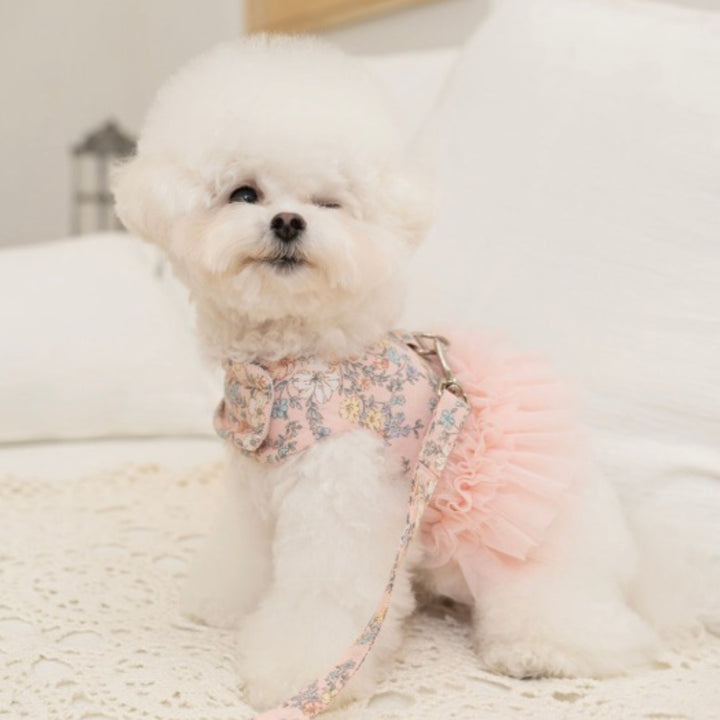 ※予約販売【Bailey】Evelyn Flower Harness - Leash set（Khaki）｜犬用ハーネス