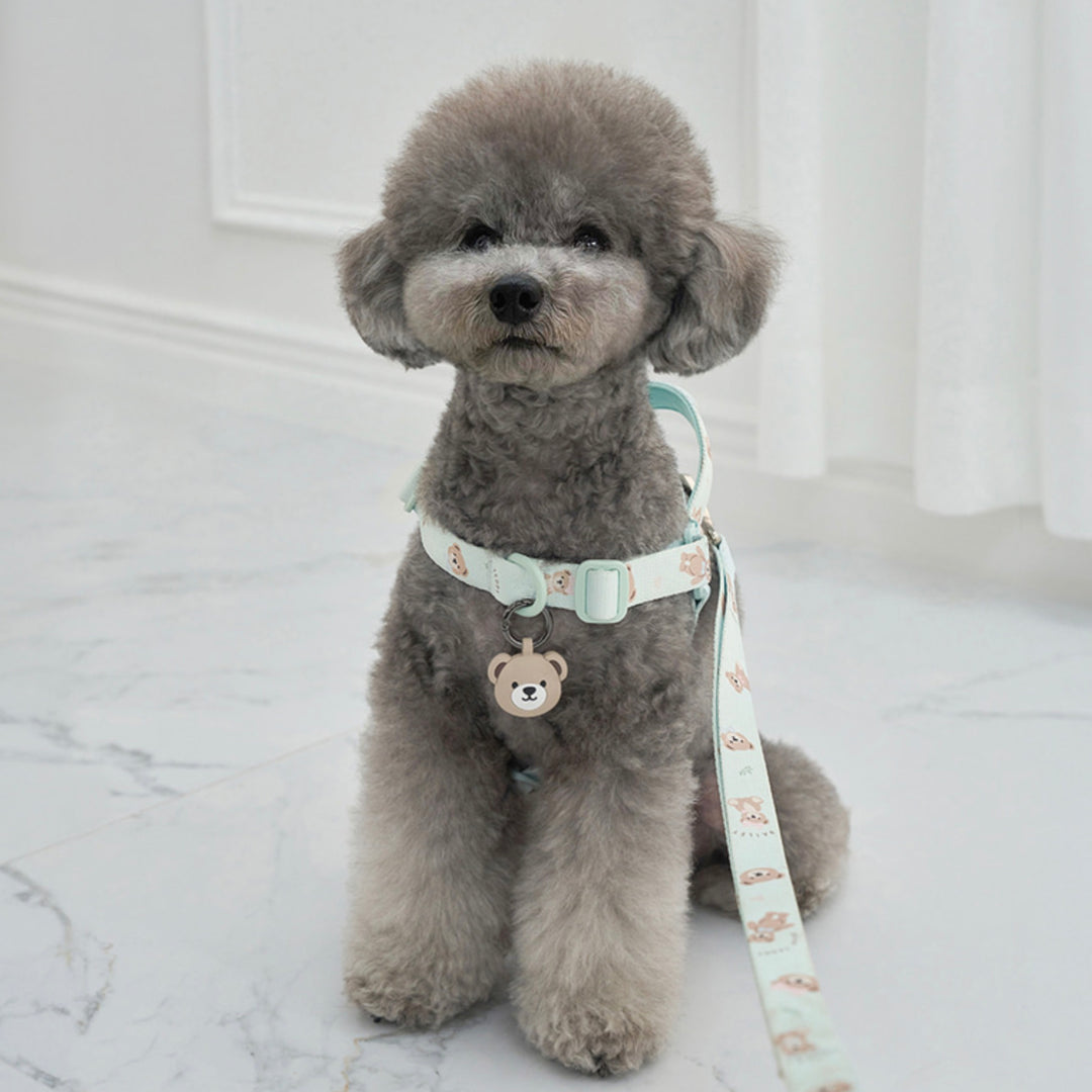 ※予約販売【Bailey】Teddy Walkie Harness（3color）
