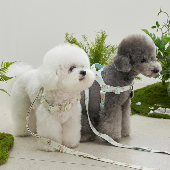 ※予約販売【Bailey】Teddy Walkie Harness（3color）