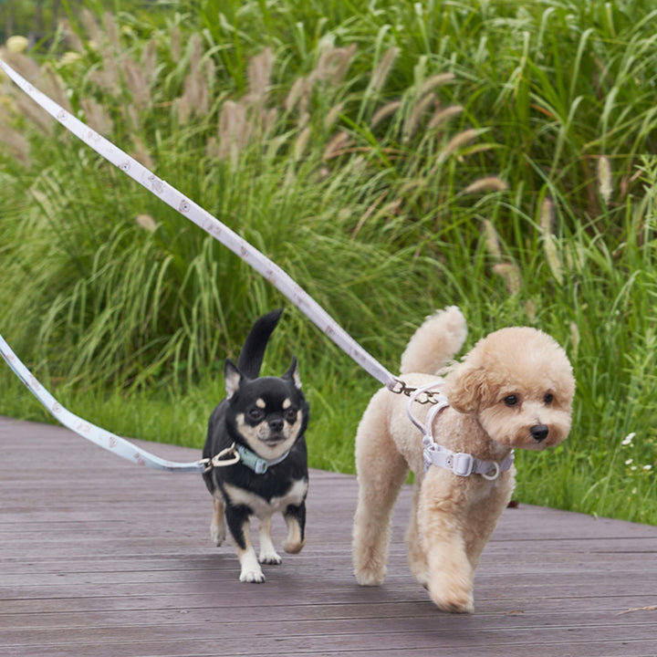 ※予約販売【Bailey】Teddy Walkie Harness（3color）