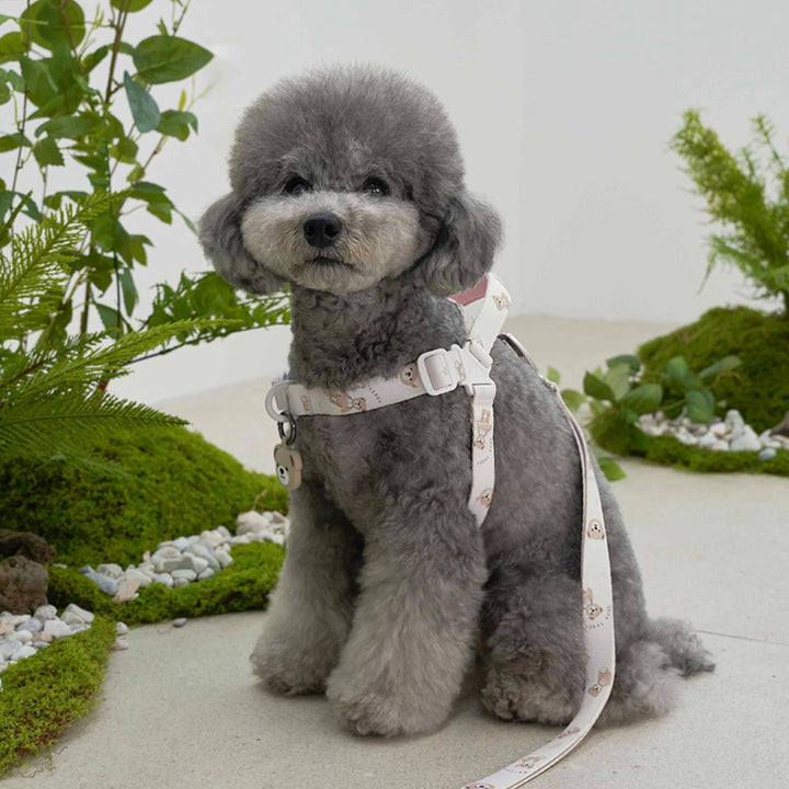 ※予約販売【Bailey】Teddy Walkie Harness（3color）