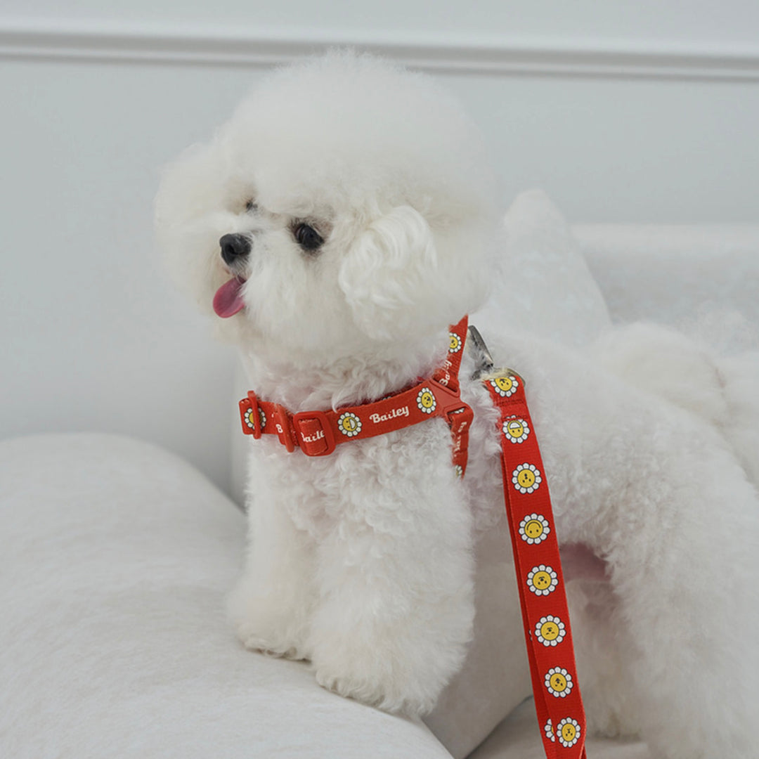 ※予約販売【Bailey】Daisy Walkie Harness（4color）