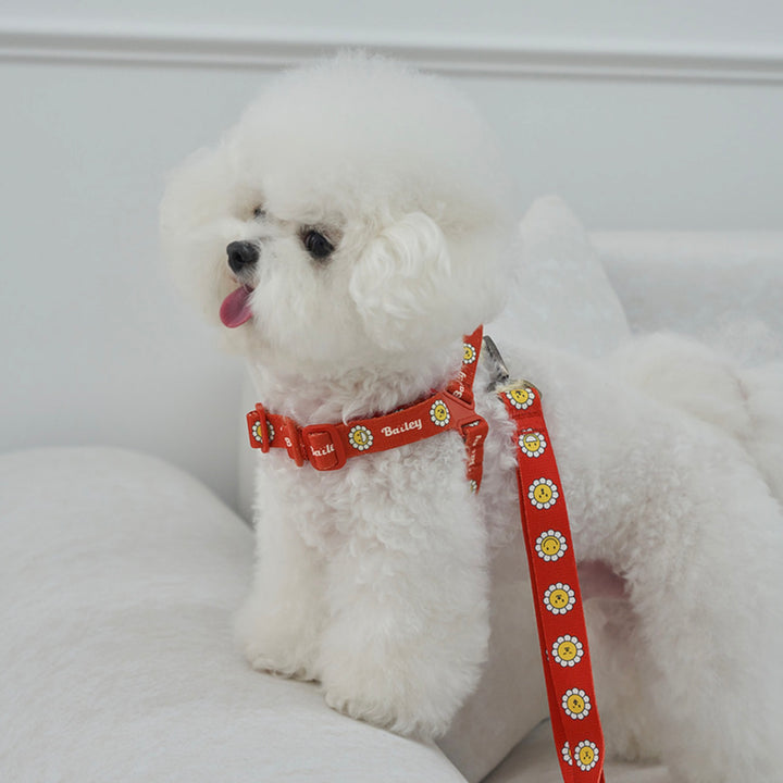 ※予約販売【Bailey】Daisy Walkie Harness（4color）