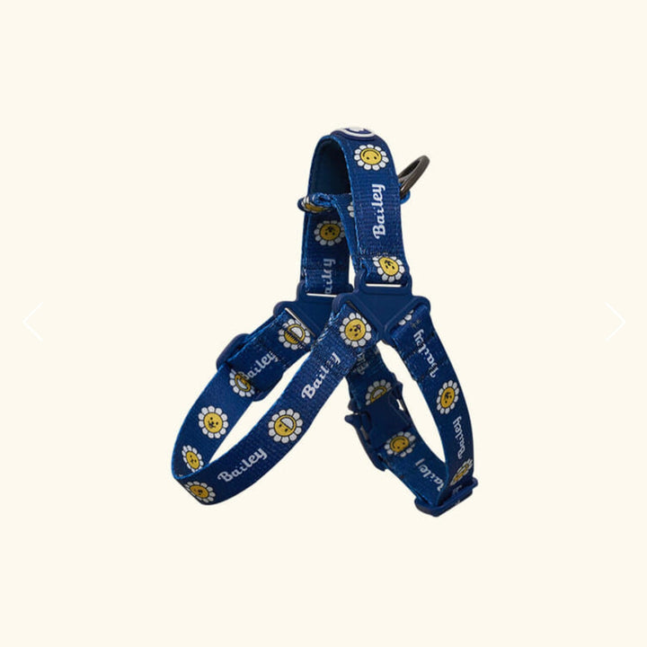 ※予約販売【Bailey】Daisy Walkie Harness（4color）