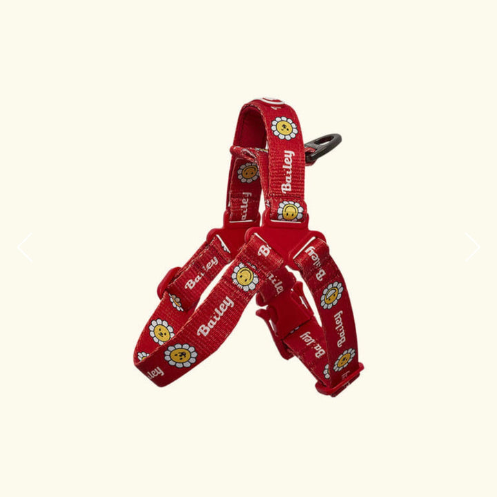※予約販売【Bailey】Daisy Walkie Harness（4color）