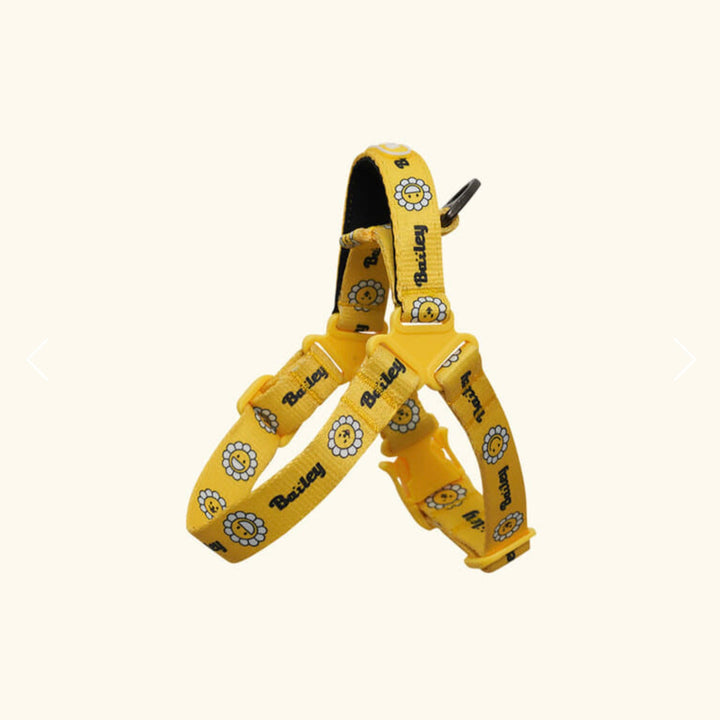 ※予約販売【Bailey】Daisy Walkie Harness（4color）