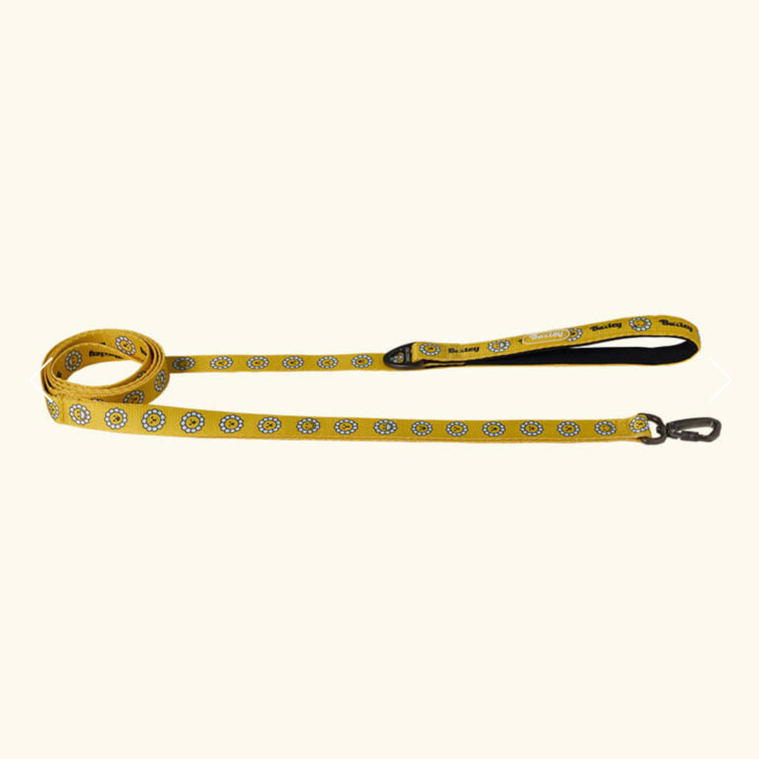 ※予約販売【Bailey】Daisy Walkie Leash（4color）