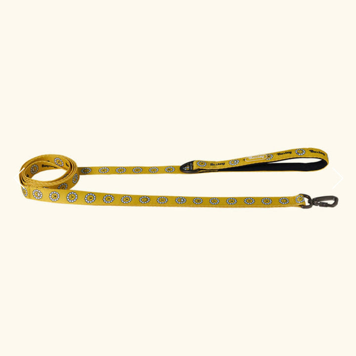 ※予約販売【Bailey】Daisy Walkie Leash（4color）