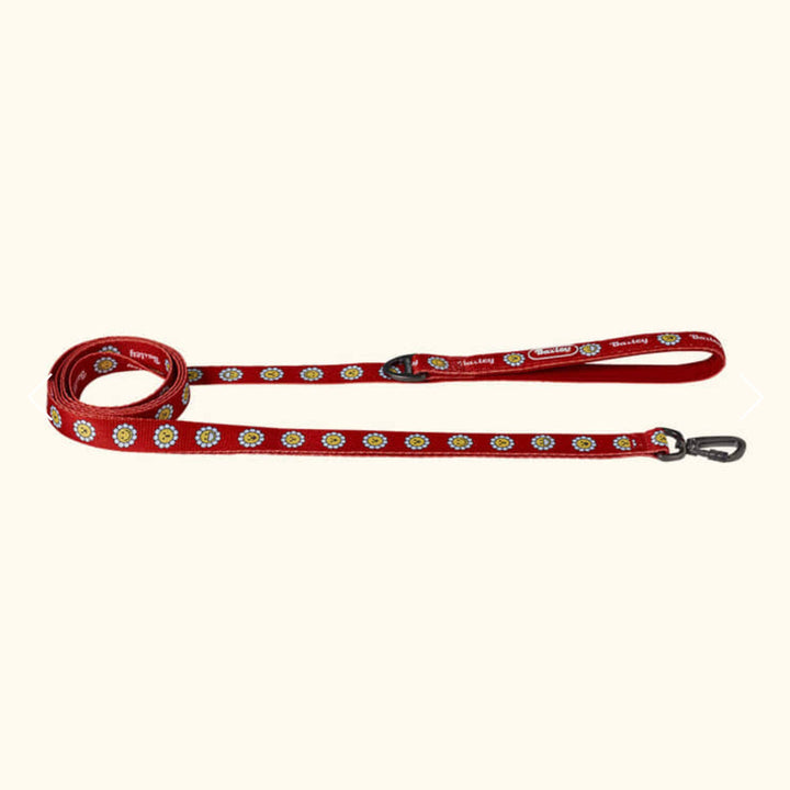 ※予約販売【Bailey】Daisy Walkie Leash（4color）