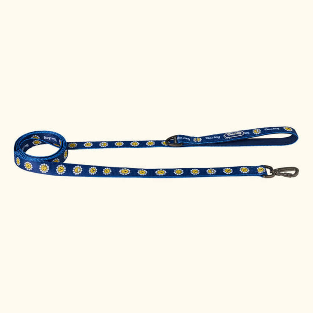 ※予約販売【Bailey】Daisy Walkie Leash（4color）