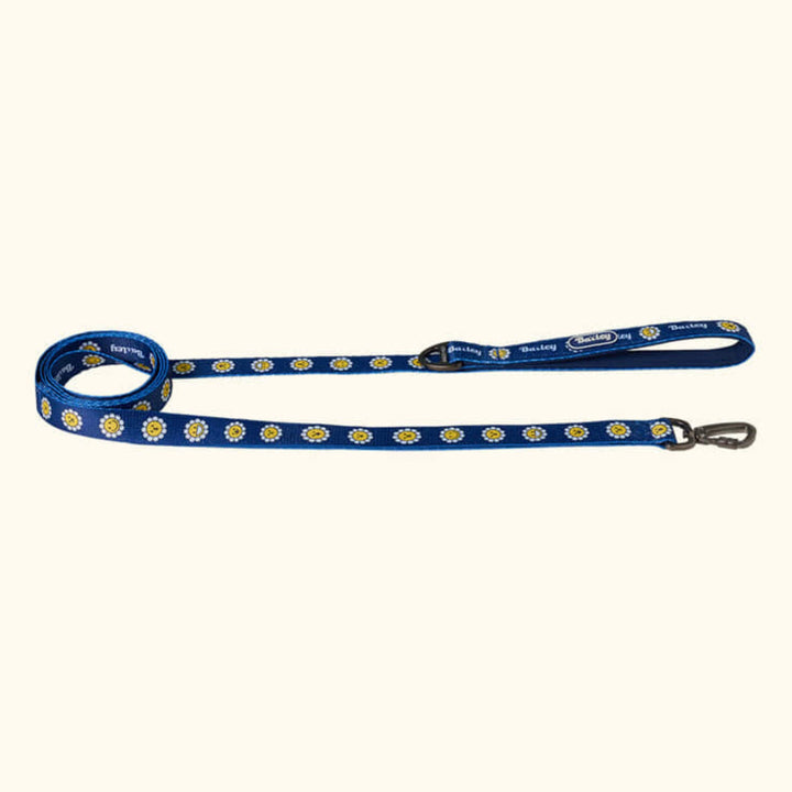 ※予約販売【Bailey】Daisy Walkie Leash（4color）