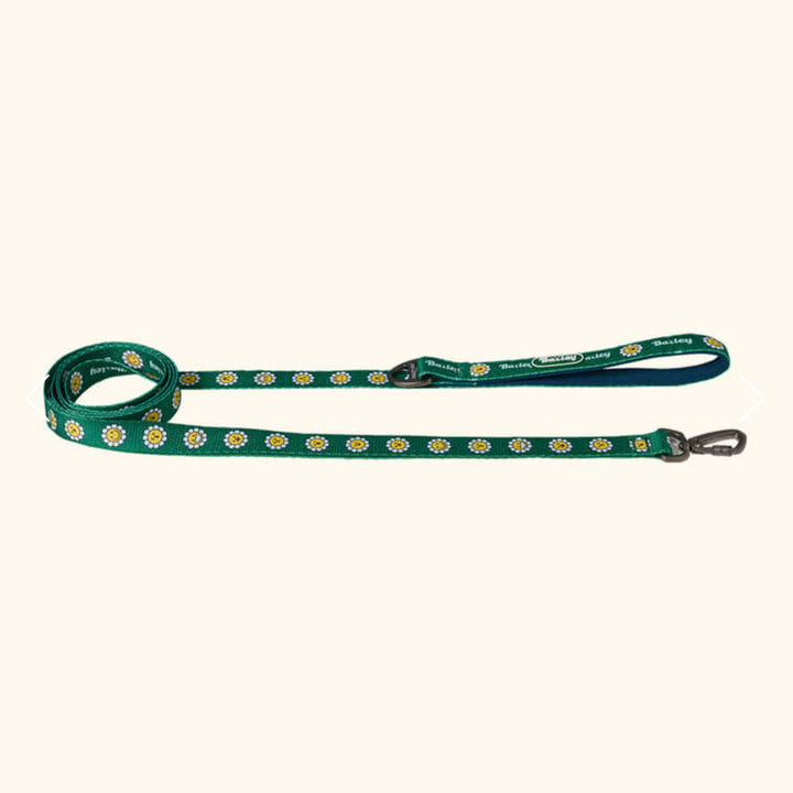 ※予約販売【Bailey】Daisy Walkie Leash（4color）