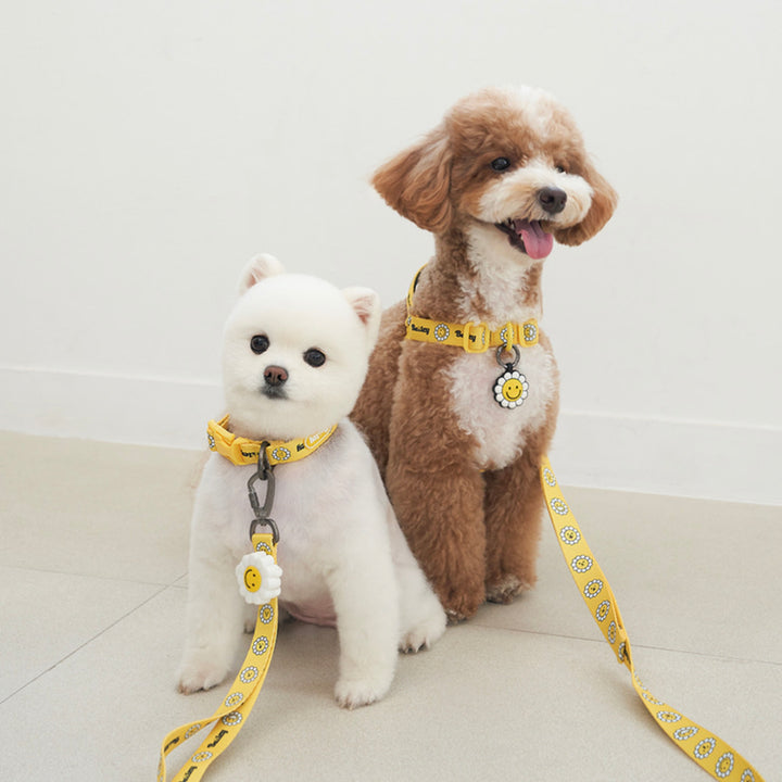 ※予約販売【Bailey】Daisy Walkie Leash（4color）