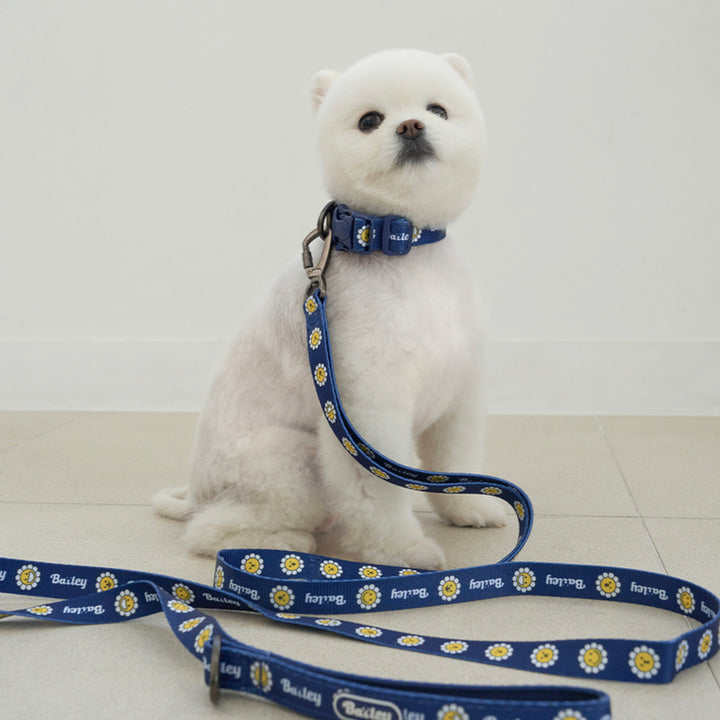 ※予約販売【Bailey】Daisy Walkie Leash（4color）
