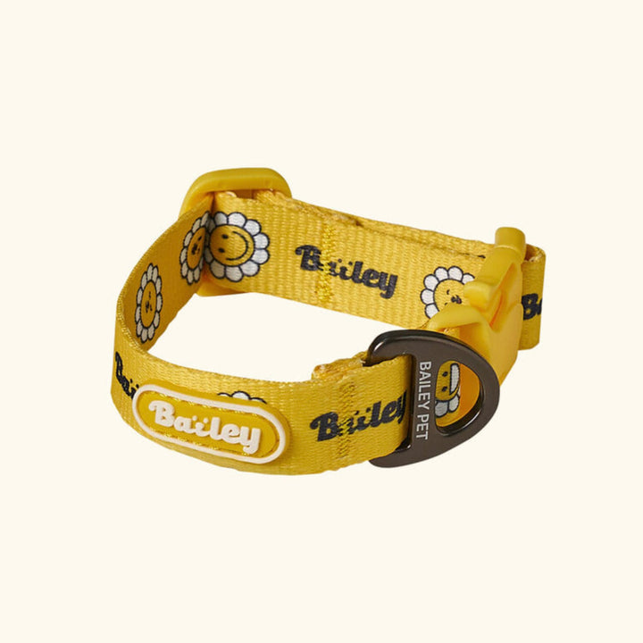 ※予約販売【Bailey】Daisy Walkie Collar（4color）