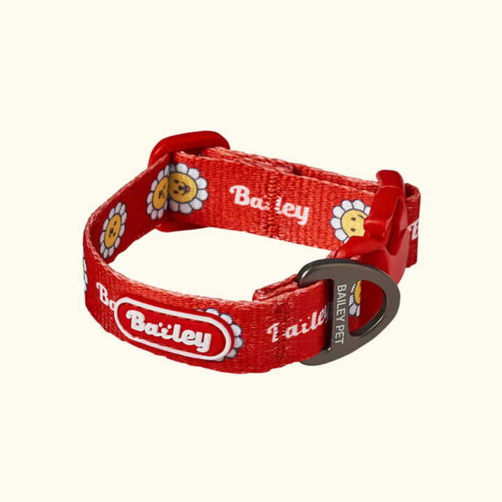 ※予約販売【Bailey】Daisy Walkie Collar（4color）
