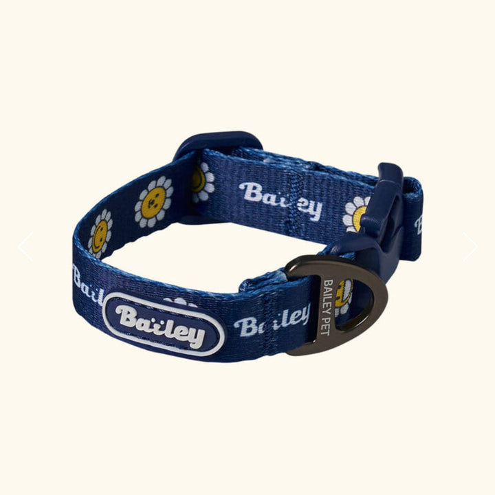 ※予約販売【Bailey】Daisy Walkie Collar（4color）