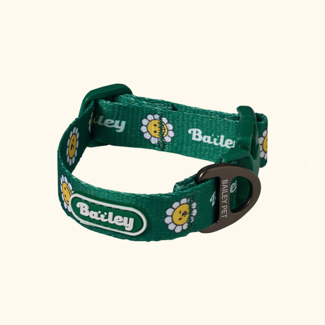 ※予約販売【Bailey】Daisy Walkie Collar（4color）