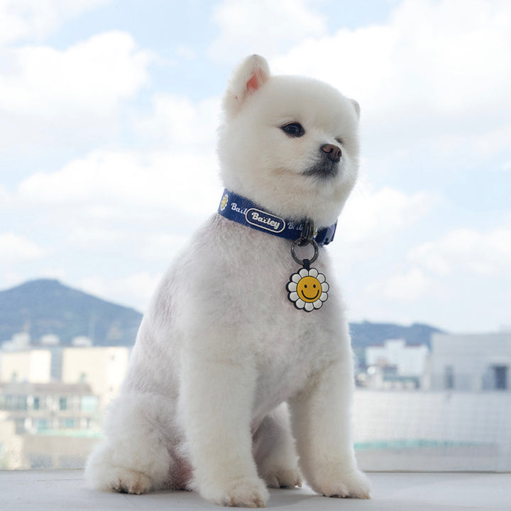 ※予約販売【Bailey】Daisy Walkie Collar（4color）
