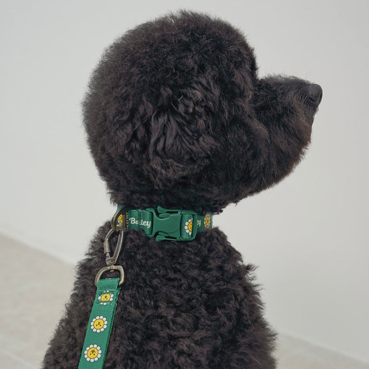 ※予約販売【Bailey】Daisy Walkie Collar（4color）