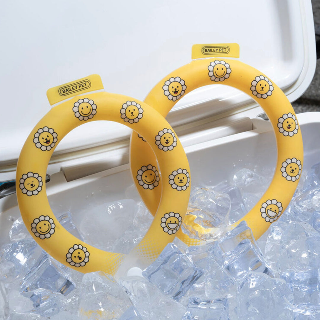 ※予約販売【Bailey】Ice Neck Cooler（2color）