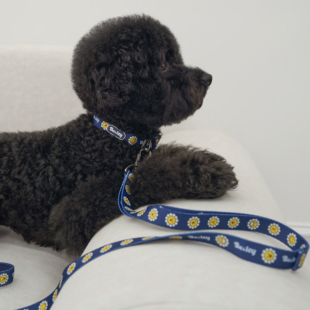 ※予約販売【Bailey】Daisy Walkie Leash（4color）