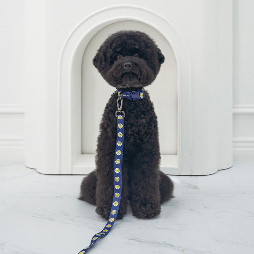 ※予約販売【Bailey】Daisy Walkie Leash（4color）