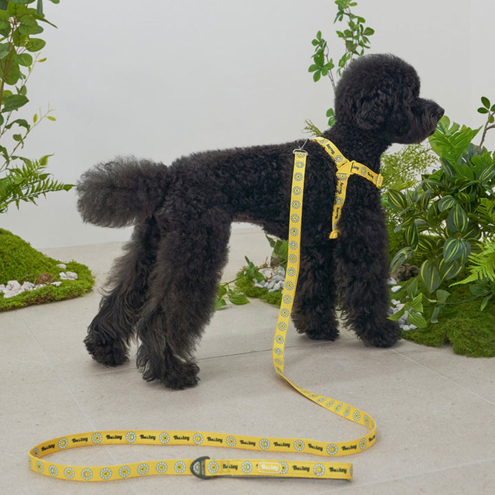 ※予約販売【Bailey】Daisy Walkie Leash（4color）