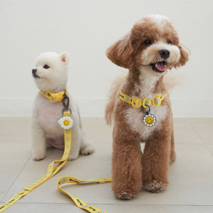 ※予約販売【Bailey】Daisy Walkie Leash（4color）