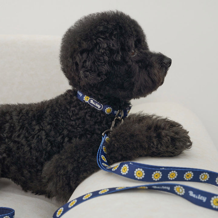 ※予約販売【Bailey】Daisy Walkie Collar（4color）