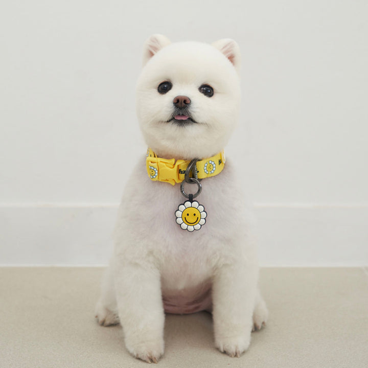 ※予約販売【Bailey】Daisy Walkie Collar（4color）
