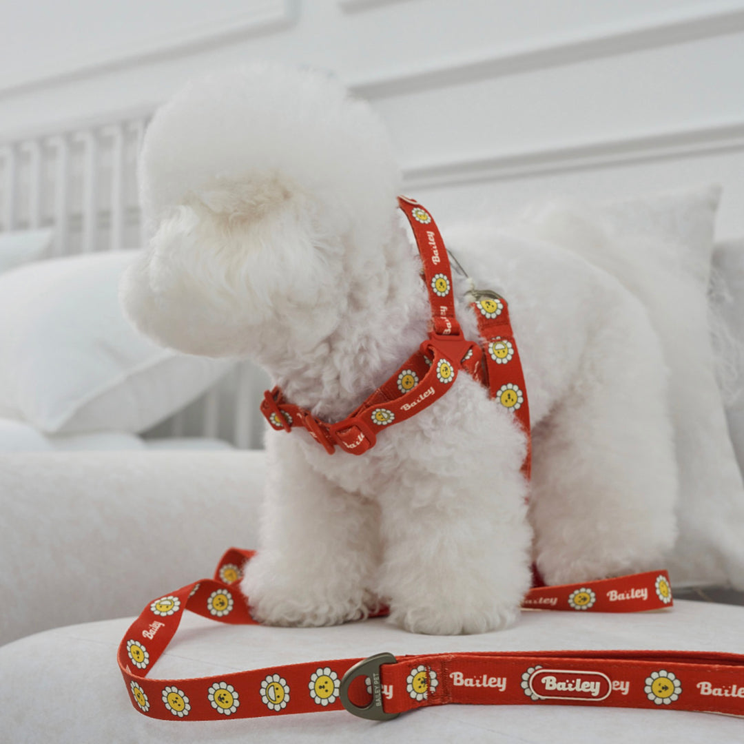 ※予約販売【Bailey】Daisy Walkie Harness（4color）