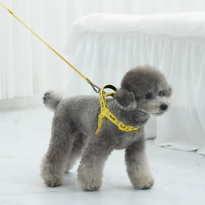 ※予約販売【Bailey】Daisy Walkie Harness（4color）