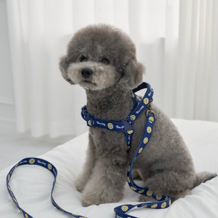 ※予約販売【Bailey】Daisy Walkie Harness（4color）