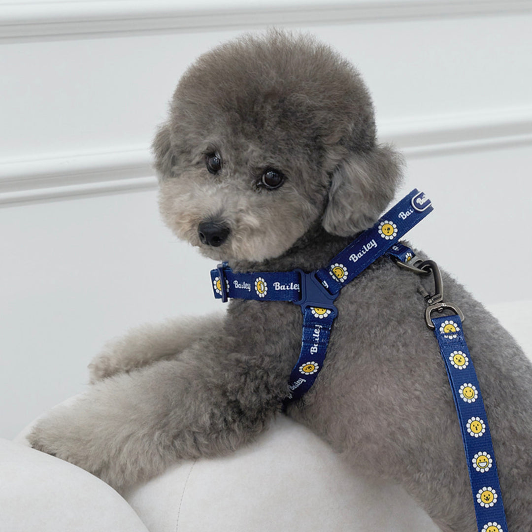 ※予約販売【Bailey】Daisy Walkie Harness（4color）