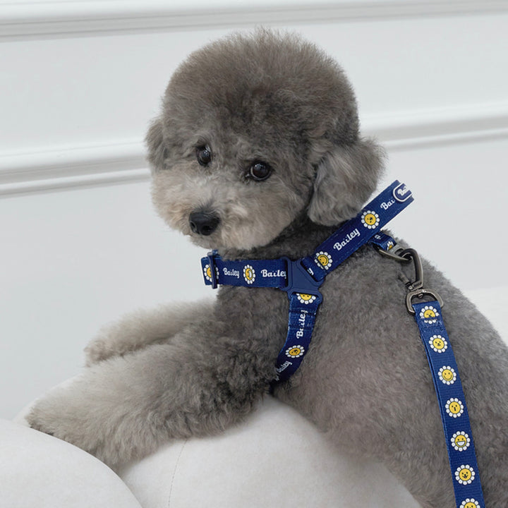 ※予約販売【Bailey】Daisy Walkie Harness（4color）