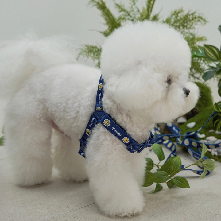 ※予約販売【Bailey】Daisy Walkie Harness（4color）