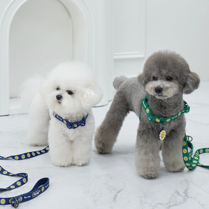 ※予約販売【Bailey】Daisy Walkie Harness（4color）