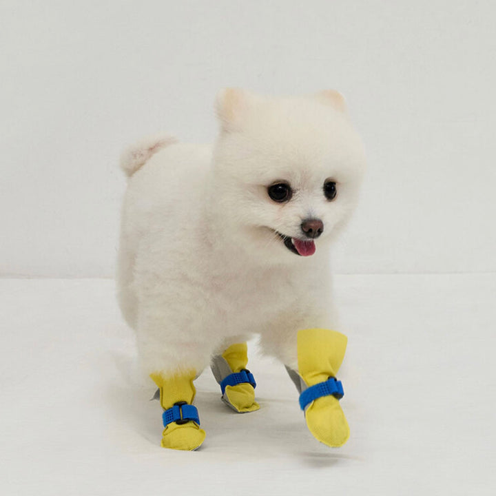 ※予約販売【Bailey】Walkie Shoes