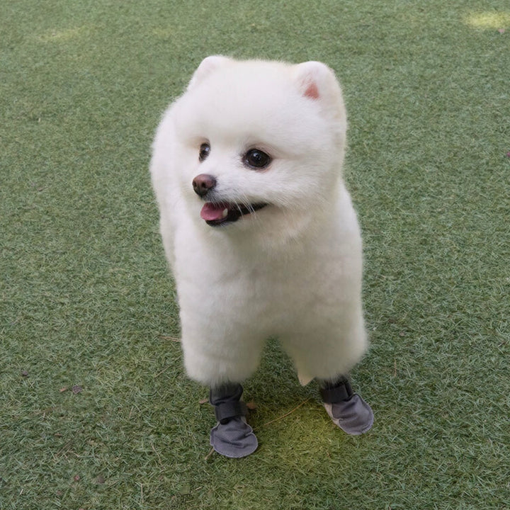 ※予約販売【Bailey】Walkie Shoes